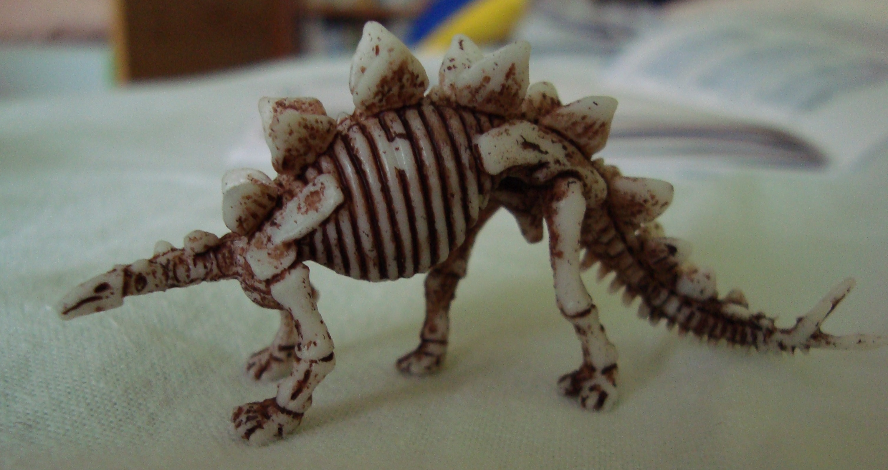 Stegosaurus.jpg